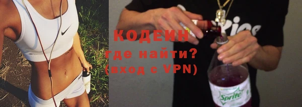 гашик Липки