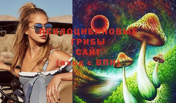 МДПВ Майский