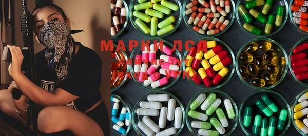 спиды Магас